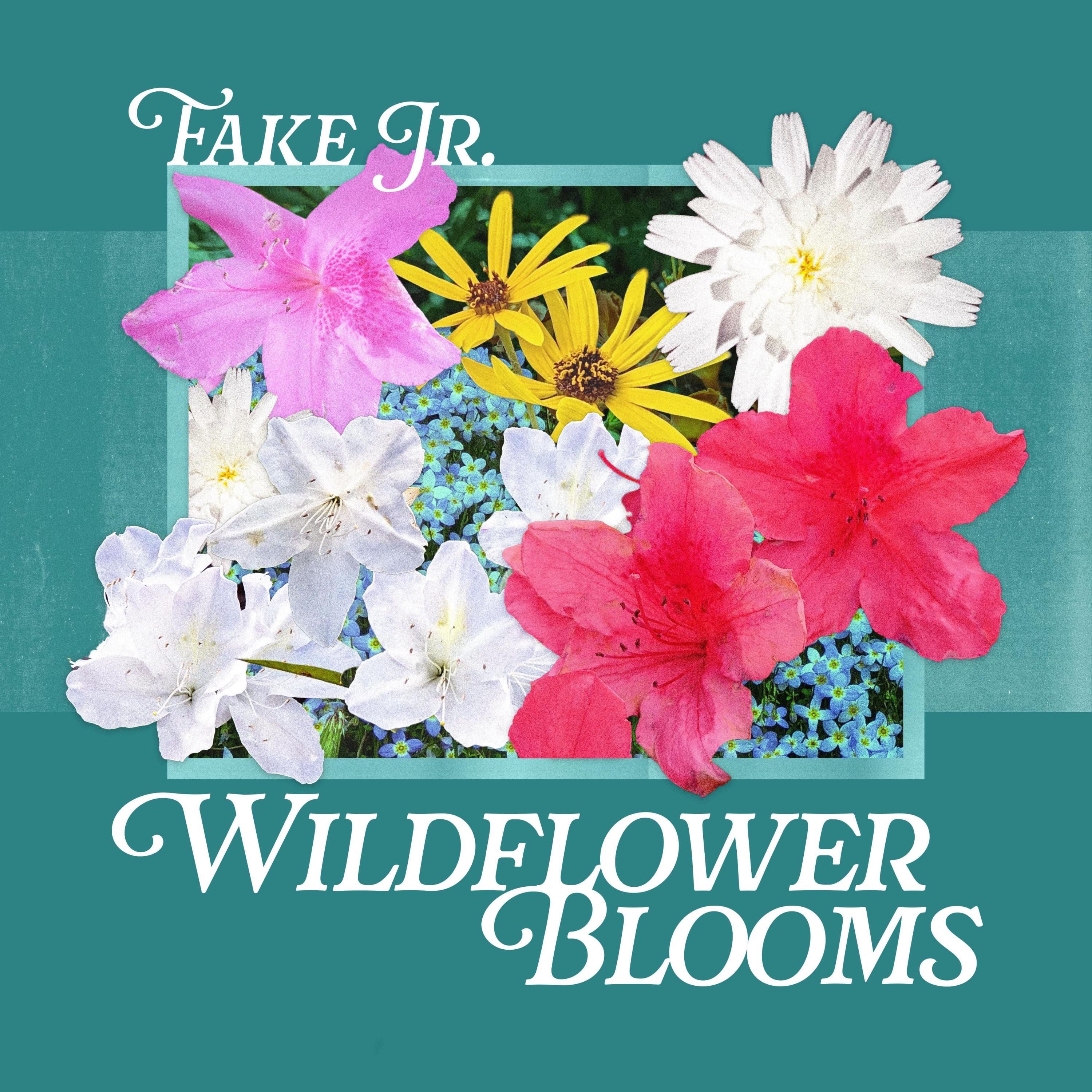 Wildflower Blooms - EP