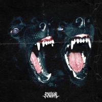 FIGHT - Single - RXVIVAL