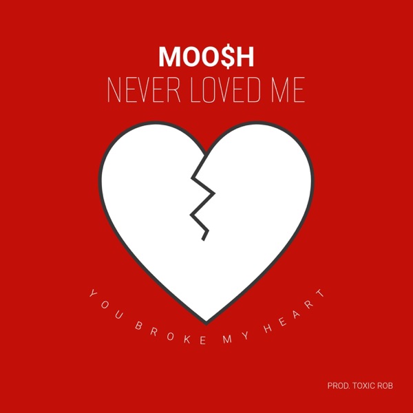 Never Loved Me
