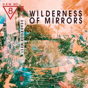 Wilderness of Mirrors - Single