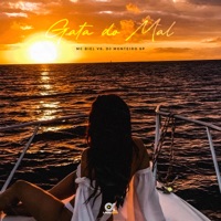 Gata do Mal - Single - MC Biel VS