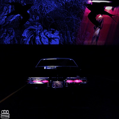 WIDOW WHINES - Single