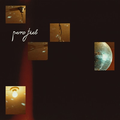 Perro Fiel - Single