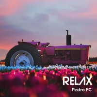 Relax - Single - Pedro FC