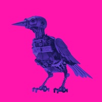 Fear & Vision - Single - Bizzarro Universe