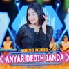 Anyar Dedih Janda (feat. Din Annesia) - Single