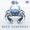 Need Somebody - The English Disco
