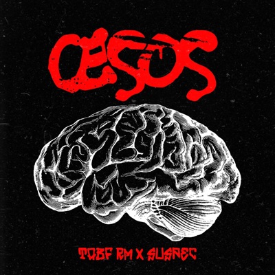 Cesos (feat. Suspec) - Single