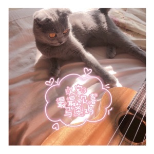 人家最最欢喜马杀鸡 - Single