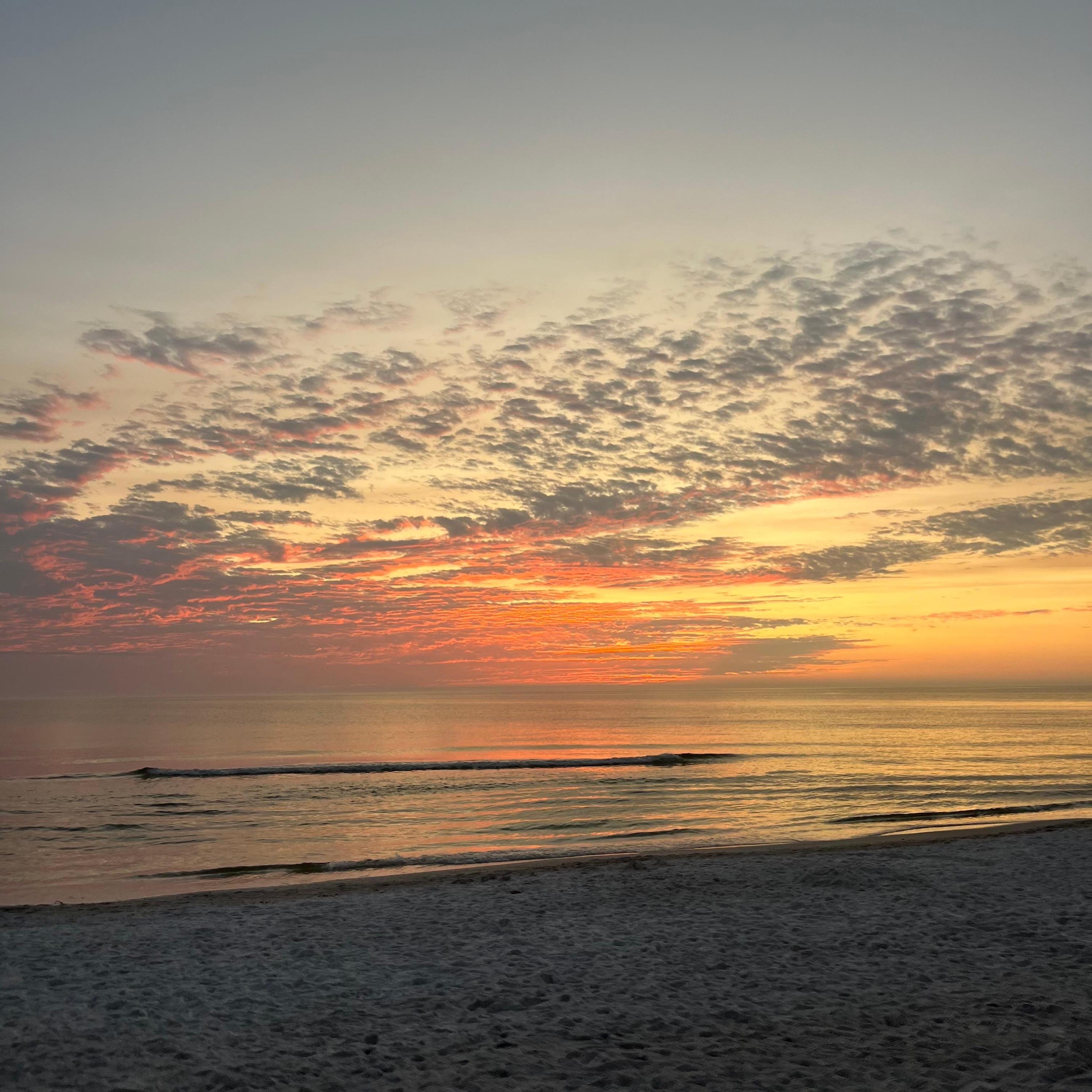 Without You - Single