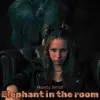 Elephant in the room