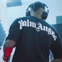 Marconata Lemon Haze - Single - Callaito