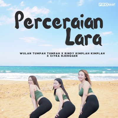 Perceraian Lara - Single