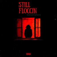 RUN FREDO (feat. Lilemeoffda6) - Single - Southcentralfloccs