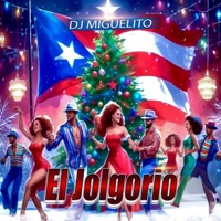 El Jolgorio - Single - DJ Miguelito