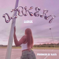 Dzokera - Single - Iaree