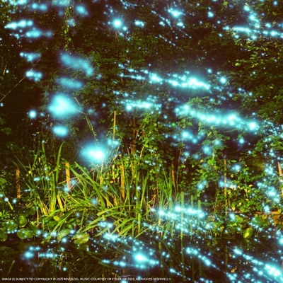 COSMOS