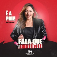 Fala Que Me Esqueceu - Single - Priscyla Arrazo