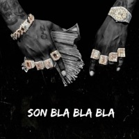 Son Bla Bla Bla (feat. Romani Music, daycer mc, Maroma, J Fiudar & Leyo) - Single - Alexis Amenaza