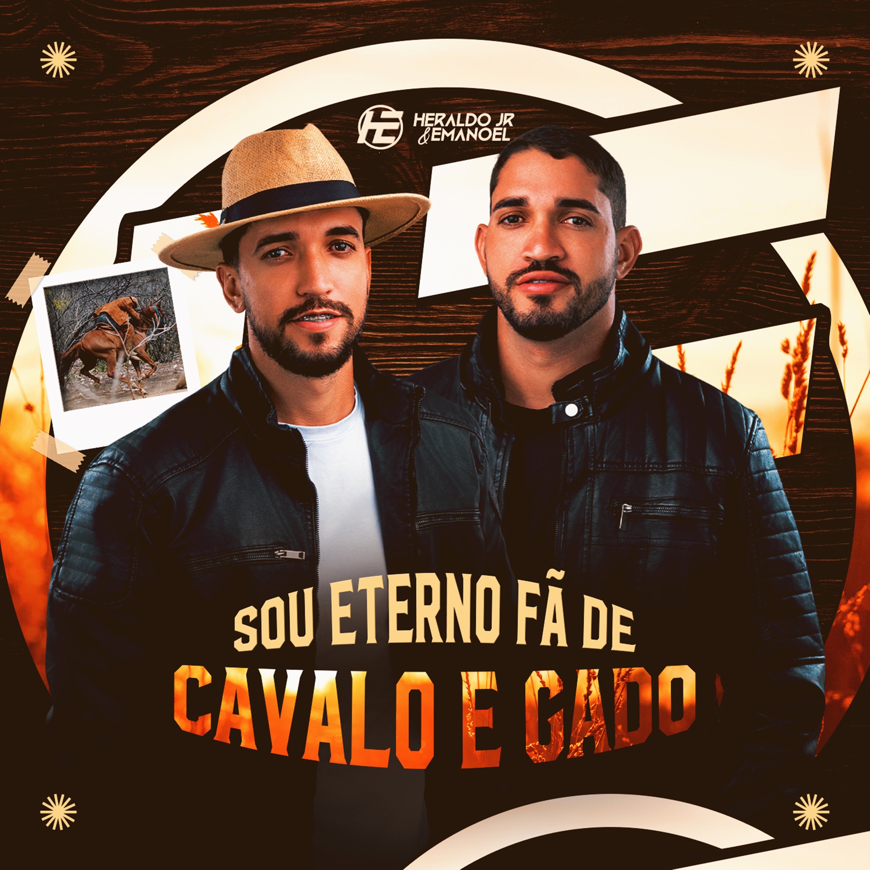 Sou Eterno Fã de Cavalo e Gado - Single