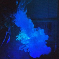 NEED THE GREEN - Single - SAYDORI