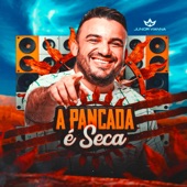 Tem hora da vontade de bater no Piauí VIANNA artwork