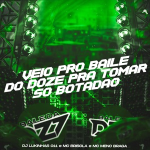 Veio pro Baile do Doze pra Tomar Só Botadão