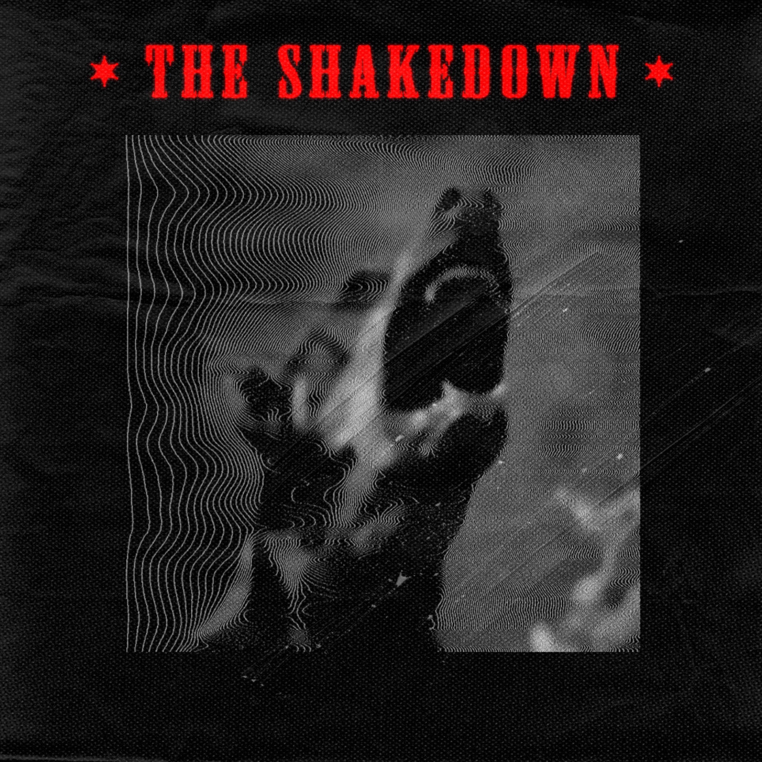 The Shakedown - Single