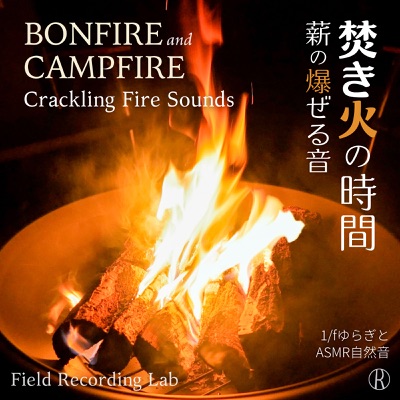 Field Recording Lab - Summer Evening Campfire