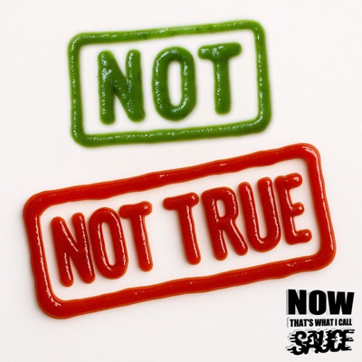 Not Not True (Zero T Remix) - Single