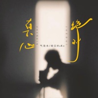 真心绝对 - Single - 气泡水 & 哈口HaKo