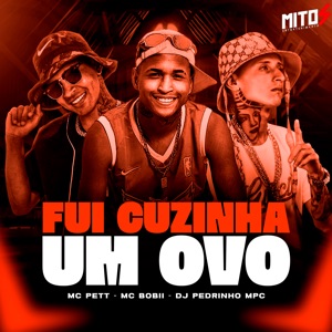 Fui Cuzinha um Ovo