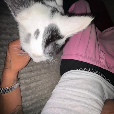 Members 2 (selfmadeSB) - Single