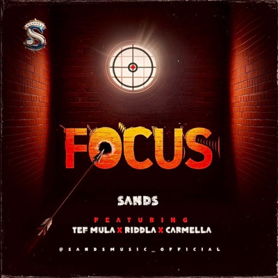 FOCUS (feat. carmella) - Single