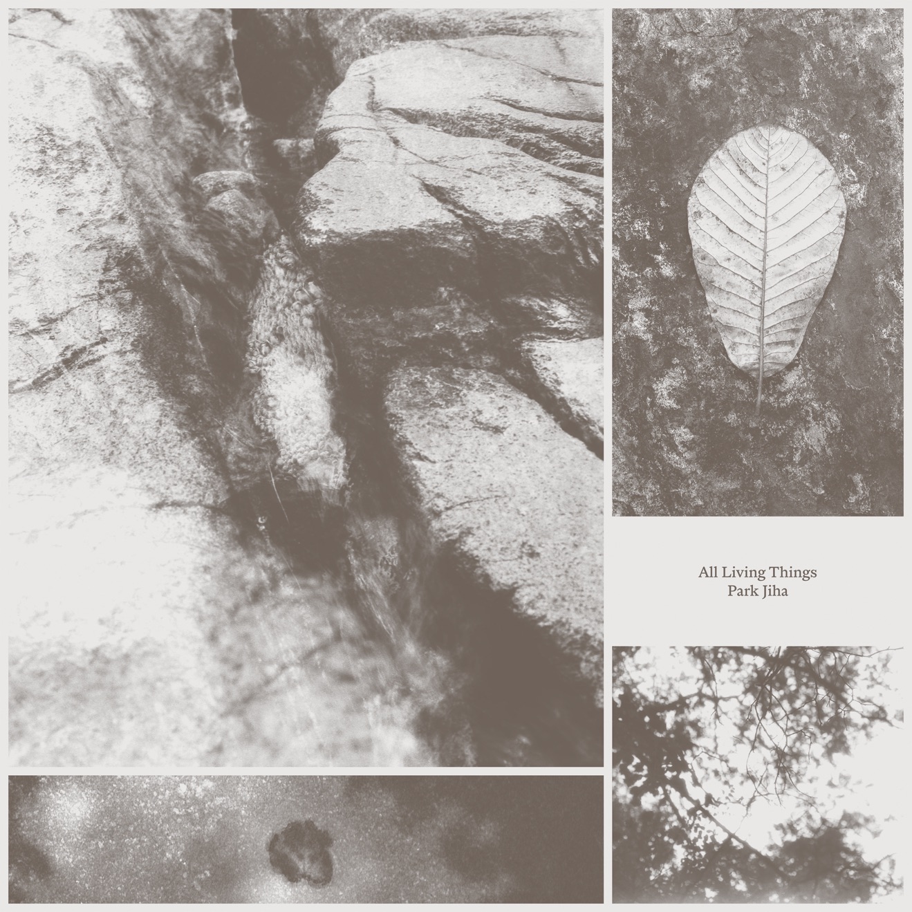 Park Jiha – All Living Things (2025) [iTunes Match M4A]