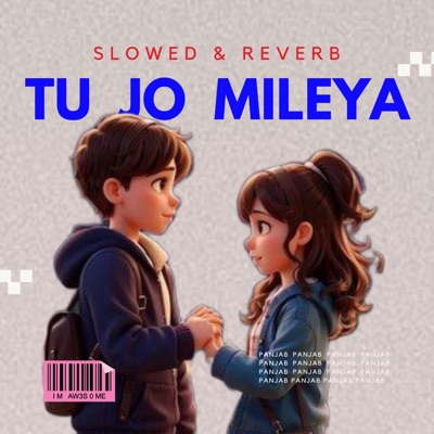 PANJAB - Tu Jo Mileya (Slowed & Reverb)