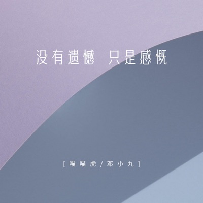 没有遗憾 只是感慨 - Single