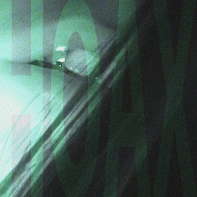 HOAX (Anna Borshun Remix) - Single