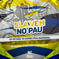 Ela Vem no Pau Caindo - Ta ou Não Ta Dando pra Marginal - Single - WR ORIGINAL & Mc Guidanny