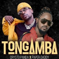 Tongamba (feat. Crysto Panda) - Single - Allan hendrik