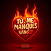 VANGL1 - T&Uacute; ME MANQUES artwork