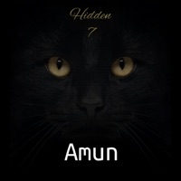 Hidden 7 - Single - Amun
