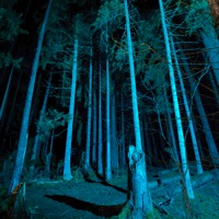 Не Замечай - Single - renfry & whéreru