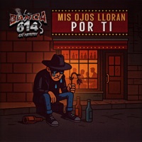 Mis Ojos Lloran Por Ti - Single - La Banda 614