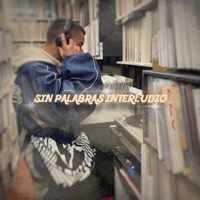 Sin Palabras Interludio - PALABRAS