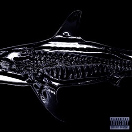 Белая акула TrankWill