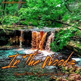 In The Woods (feat. Lyrikul & Levi Lee) 386 Music