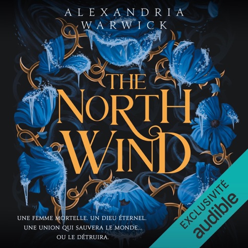 The North Wind: The Four Winds - Vol. 1 cover