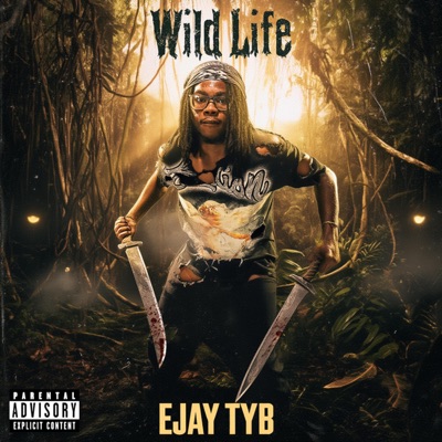 Wild Life - Single
