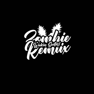 No moral (Zombie Remiix) - Single